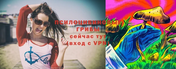 прущие крисы Аркадак