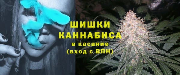 прущие крисы Аркадак